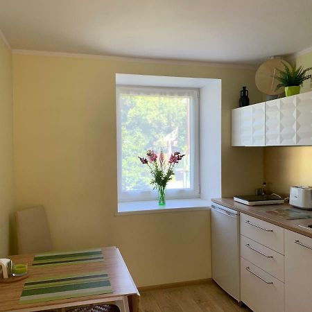 Excelent Apartment With Garden And Free Parking 里加 外观 照片